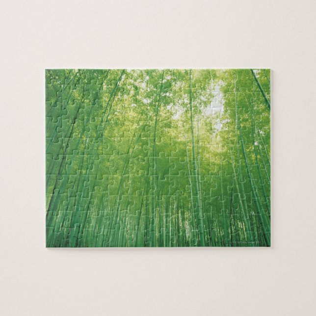 Puzzle Bosque de bambú 2 (Horizontal)