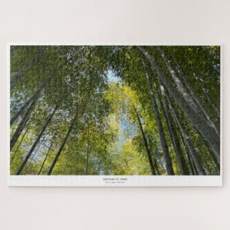 Puzzle Bosque de Bambú Arashiyama - Sinfonía de Tallos