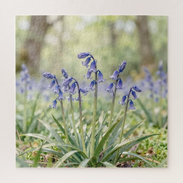 Puzzle Bosque de Campanillas Azules Purpúreas Serenas en  (Vertical)