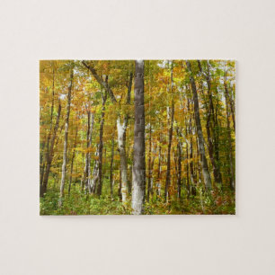 Puzzle Bosque de Hojas Amarillas Paisaje de Otoño