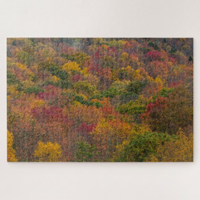 Puzzle Bosque de madera dura en el condado de Randolph, V (Horizontal)
