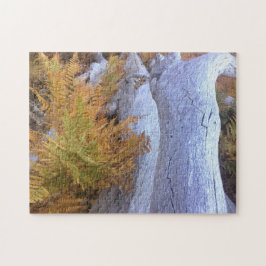 Puzzle Bosque de otoño