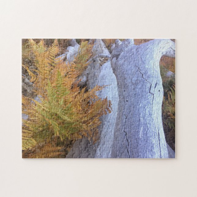 Puzzle Bosque de otoño (Horizontal)