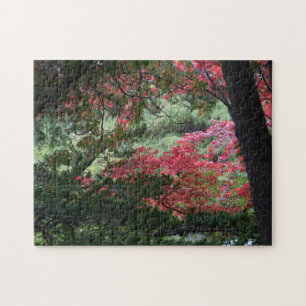 Puzzle Bosque de otoño