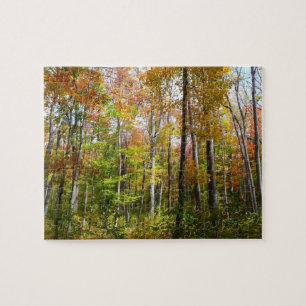 Puzzle Bosque de otoño I Fotografía de paisaje otoñal