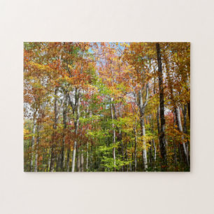 Puzzle Bosque de otoño II Fotografía de paisaje otoñal