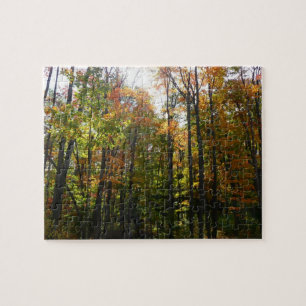 Puzzle Bosque de Otoño Iluminado por el Sol