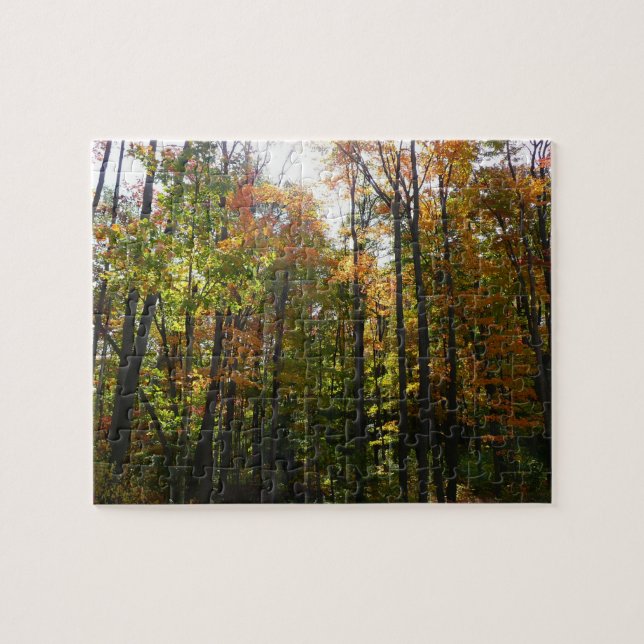 Puzzle Bosque de Otoño Iluminado por el Sol (Horizontal)