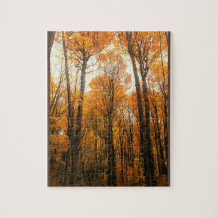 Puzzle Bosque de otoño naranja
