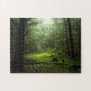 Puzzle Bosque de Sterious