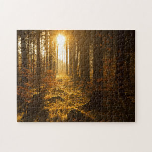 Puzzle Bosque durante el otoño el   Baden Württemberg,