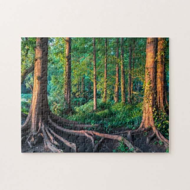 Puzzle Bosque en verano (Horizontal)