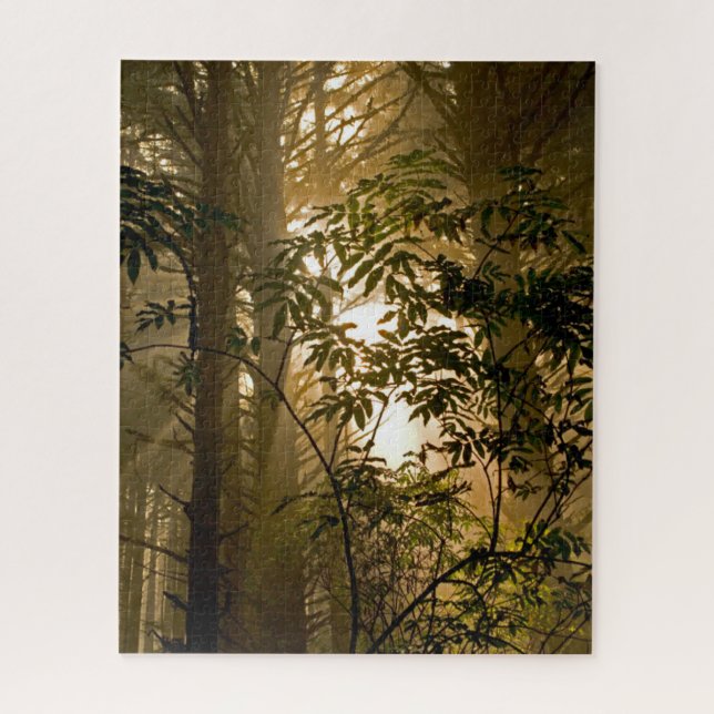 Puzzle Bosque Evergreen | Costa de Oregón (Vertical)