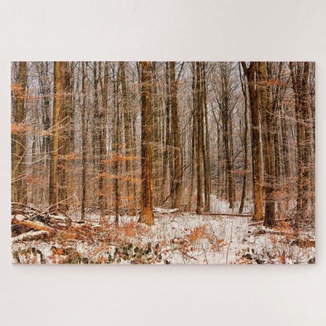 Puzzle Bosque hermoso del invierno con nieve (Horizontal)