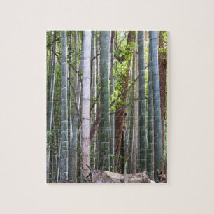 Puzzle Bosque japonés gigante de bambú, Sagano, Kioto, Ja