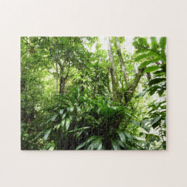 Puzzle Bosque lluvioso dominicano I Naturaleza tropical v