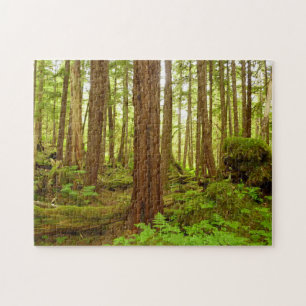 Puzzle Bosque Lluvioso Templado de Alaska
