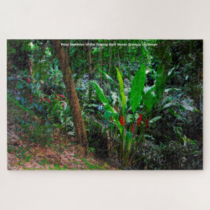Puzzle Bosque Lluvioso Tropical Granada Caribe. Rompecabe