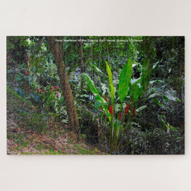 Puzzle Bosque Lluvioso Tropical Granada Caribe. Rompecabe (Horizontal)