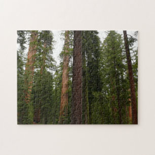 Puzzle Bosque Mariposa en el Parque Nacional Yosemite