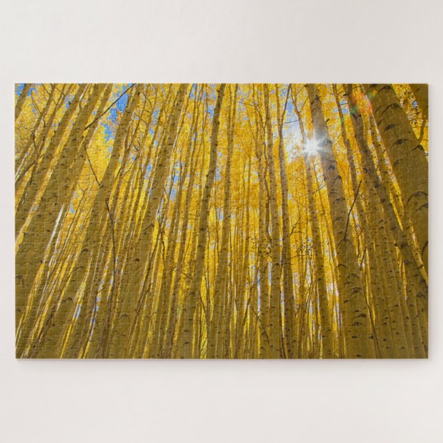 Puzzle Bosque nacional del río Blanco (Horizontal)