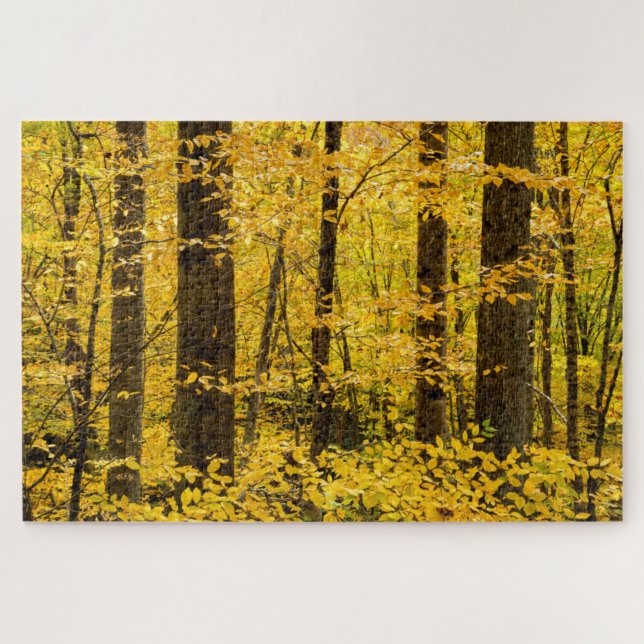 Puzzle Bosque nacional Fall Pisgah (Horizontal)