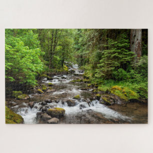 Puzzle Bosque Nacional Siuslaw Sweet Creek