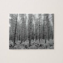 Bosque nuevo, bosque de pinos de Hampshire