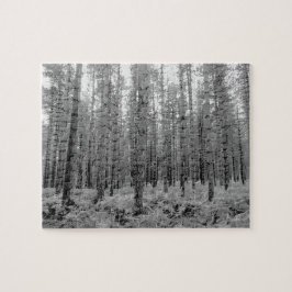 Puzzle Bosque nuevo, bosque de pinos de Hampshire