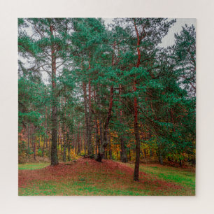 Puzzle Bosque otoñal