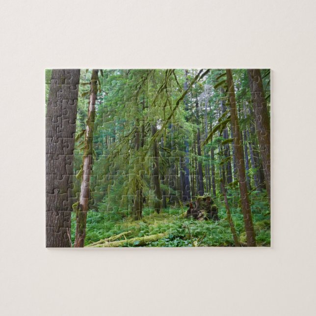 Puzzle Bosque Primario (Horizontal)