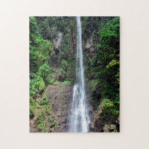 Puzzle Bosque tropical de cascada en Dominica.