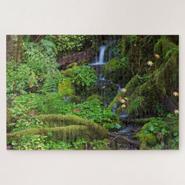 Puzzle Bosque tropical otoñal | Parque nacional olímpico (Horizontal)