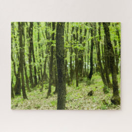 Puzzle Bosque verde