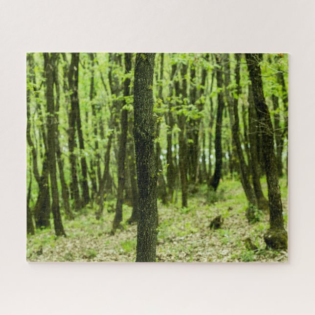 Puzzle Bosque verde (Horizontal)