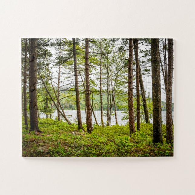 Puzzle Bosques a orillas del lago en Maine sobredimension (Horizontal)
