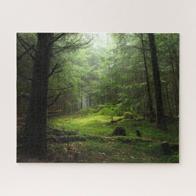Puzzle Bosques | Auvergne France (Horizontal)