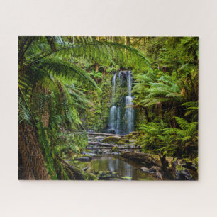 Puzzle Bosques Beauchamp Falls Australia