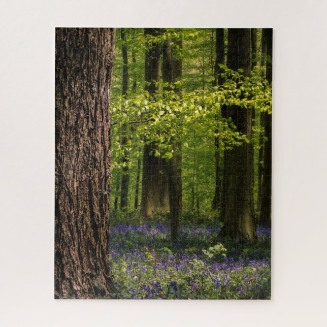 Puzzle Bosques | Bluebells en Bélgica (Vertical)
