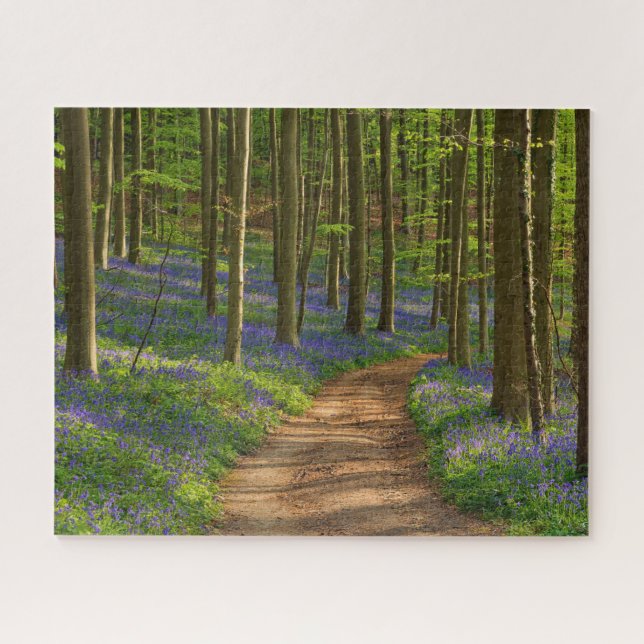 Puzzle Bosques | Bosque de Bluebell en Bélgica (Horizontal)