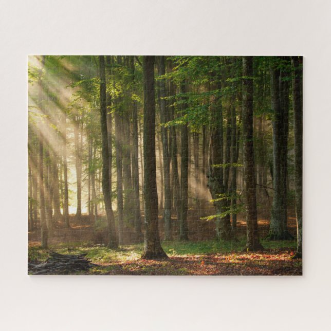 Puzzle Bosques | Bosque otoñal (Horizontal)