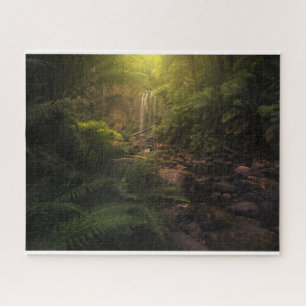 Puzzle Bosques   Cascada con los aspectos más destacados 