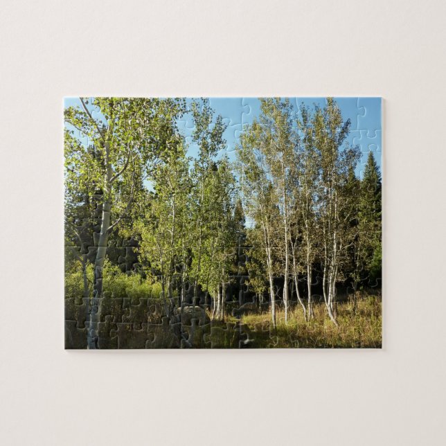 Puzzle Bosques de algodón a lo largo de Moose Ponds Trail (Horizontal)