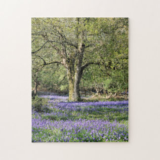 Puzzle Bosques de Bluebell