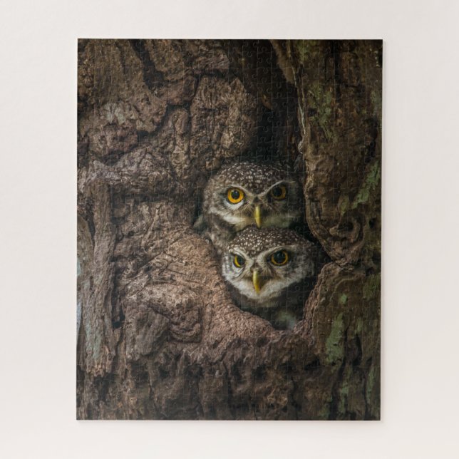 Puzzle Bosques | Dos lechuzas mirando (Vertical)