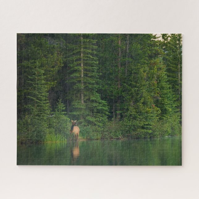 Puzzle Bosques | Elk en el Parque Nacional Banff Alberta (Horizontal)