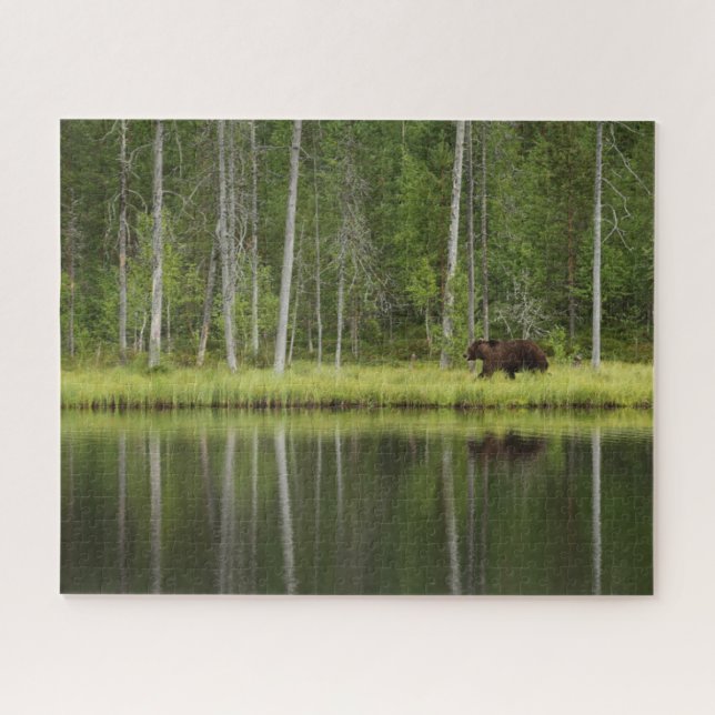 Puzzle Bosques | Oso en la Selva Taiga Norte de Finlandia (Horizontal)