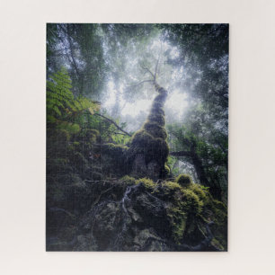 Puzzle Bosques   Parque rural de Anaga Islas Canarias