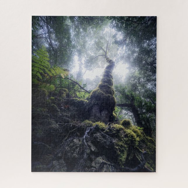 Puzzle Bosques | Parque rural de Anaga Islas Canarias (Vertical)