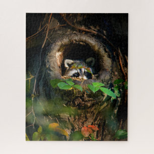 Puzzle Bosques   Raccoon Peeking